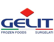 logo Gelit
